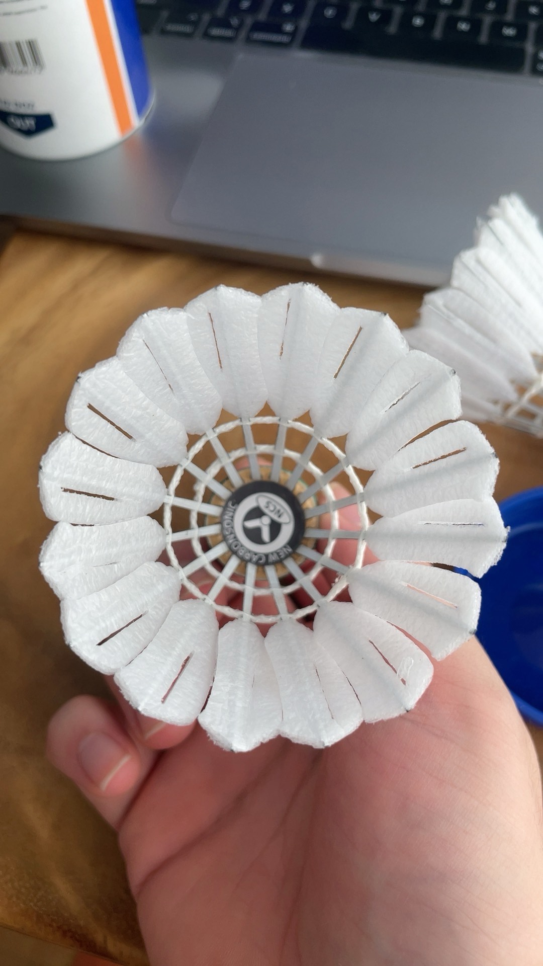 世界杯上的 世界杯上的